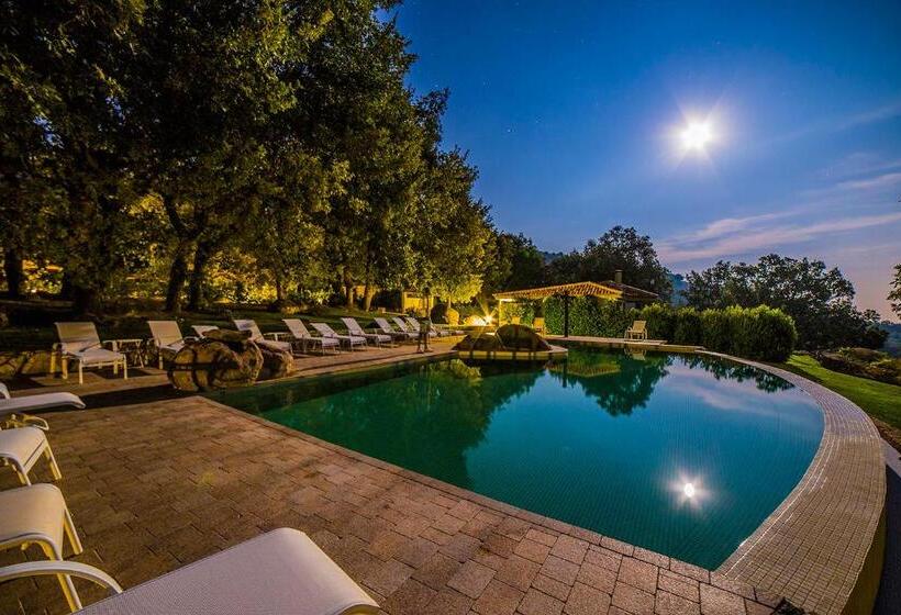 Fotos del hotel Nabia:  12