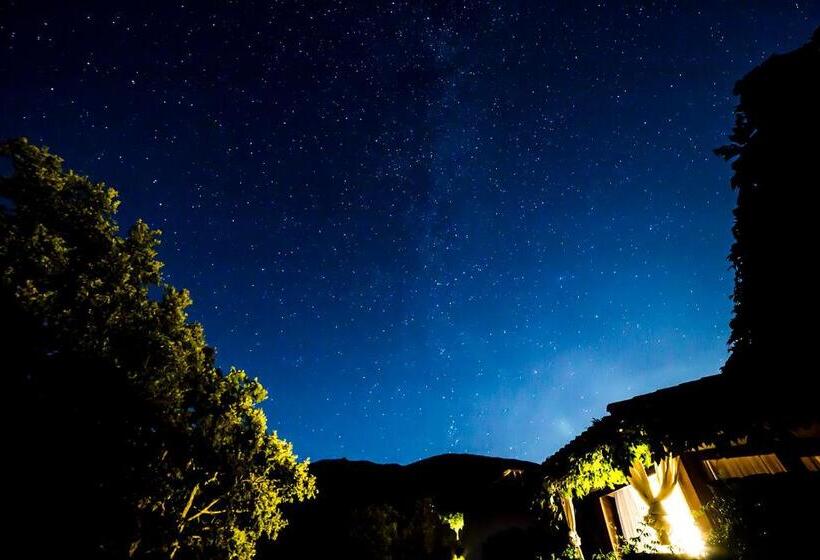 Fotos del hotel Nabia:  16