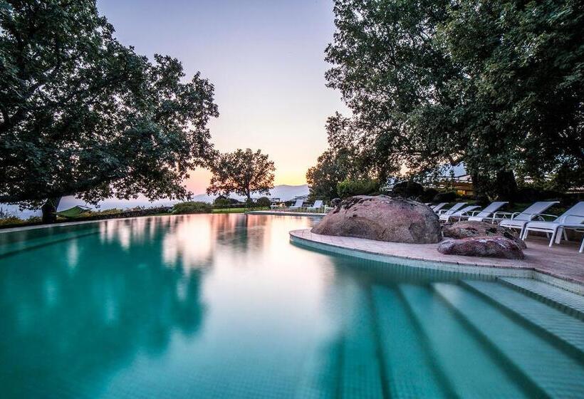 Fotos del hotel Nabia:  2