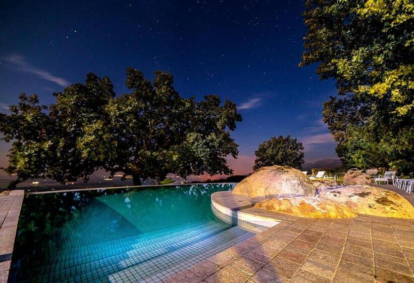 Fotos del hotel Nabia:  8