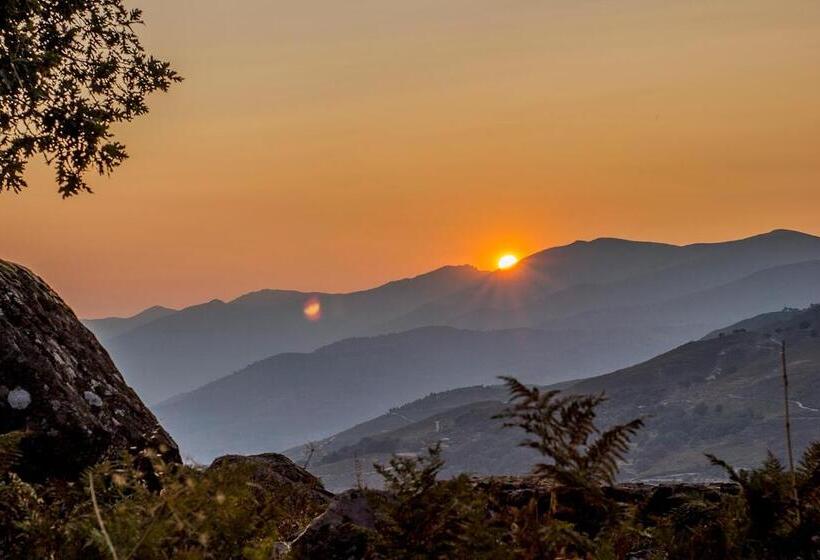 Fotos del hotel Nabia:  7