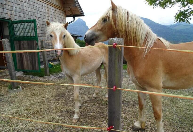 Fotos del hotel Altroiterhof:  5