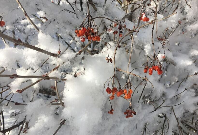 Fotos del hotel Alpin Hotel Garni Eder - Private Living:  6