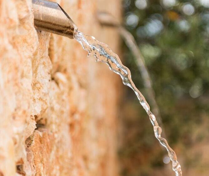 Fotos del hotel Cas Cabo Nou Agroturismo Adults Only:  7