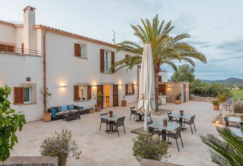 Fotos del hotel Cas Cabo Nou Agroturismo Adults Only:  16