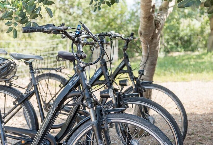 Fotos del hotel Cas Cabo Nou Agroturismo Adults Only:  17