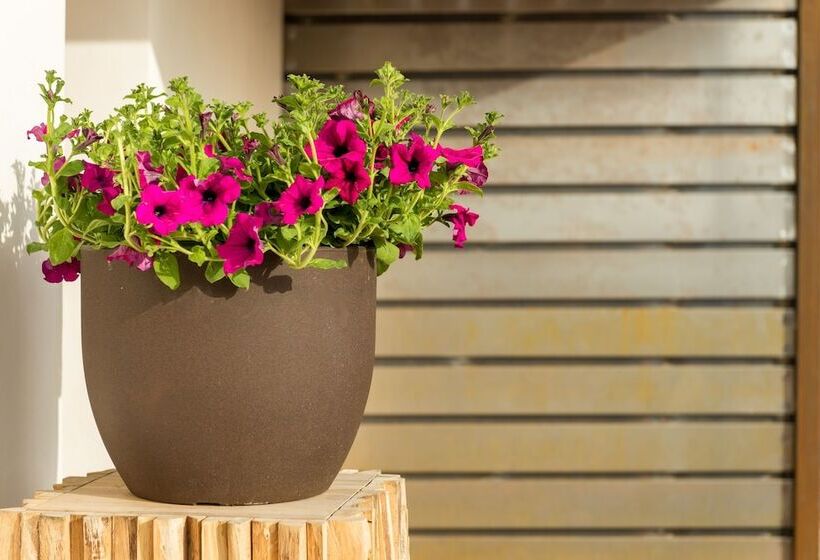 Fotos del hotel Cas Cabo Nou Agroturismo Adults Only:  5