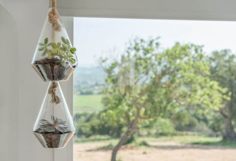 Fotos del hotel Cas Cabo Nou Agroturismo Adults Only:  8