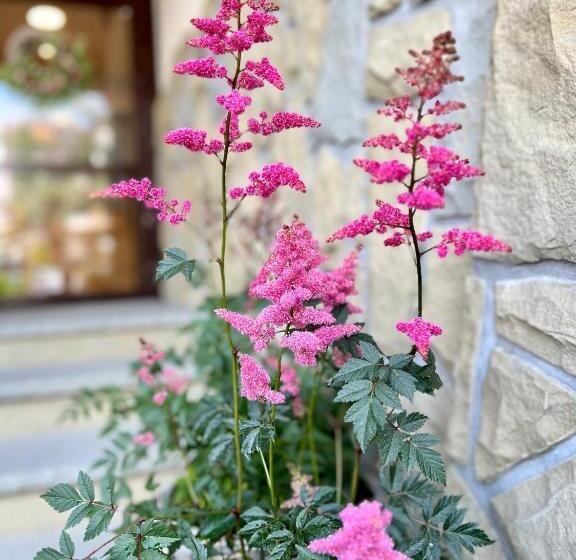 Fotos del hotel Rentplanet   Nosal:  11