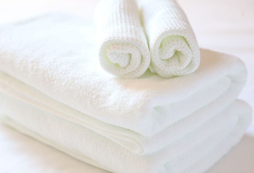 Fotos del hotel Urbain Kyoto Kawaramachidori:  9