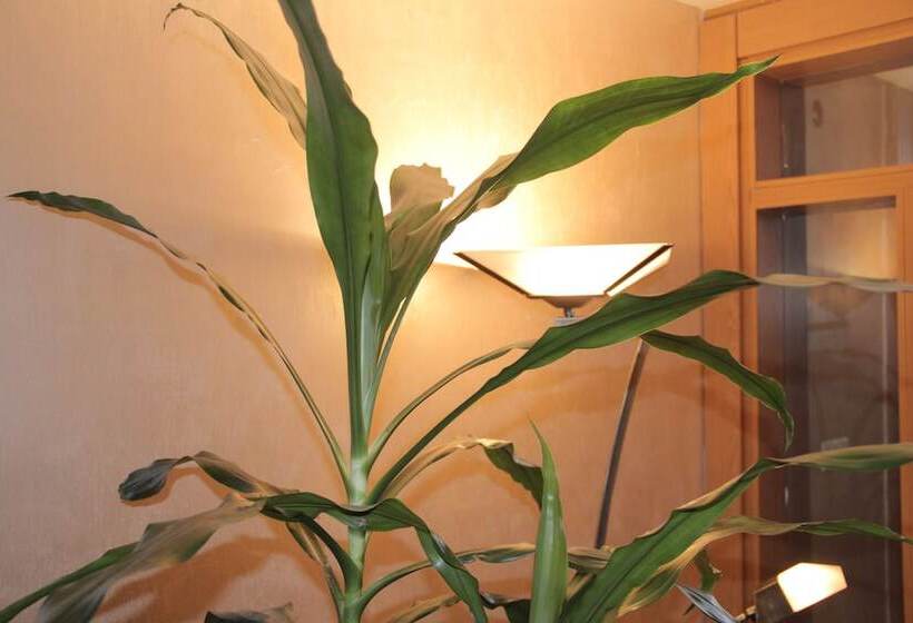 Fotos del hotel Momona:  9