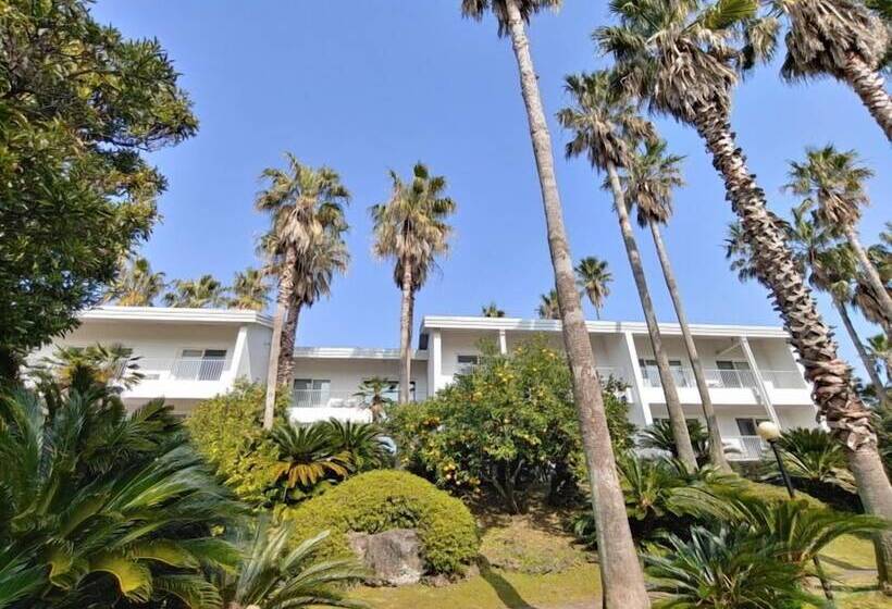 Fotos del hotel Springhill Resort:  13