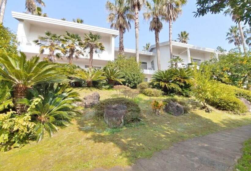 Fotos del hotel Springhill Resort:  23