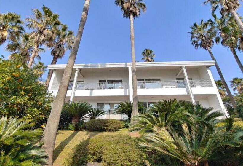 Fotos del hotel Springhill Resort:  5