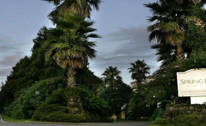 Fotos del hotel Springhill Resort:  21