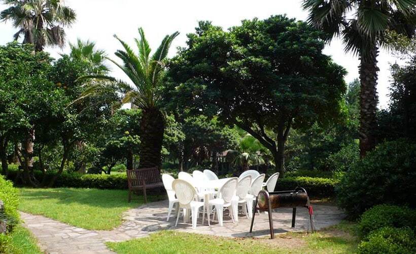 Fotos del hotel Springhill Resort:  7