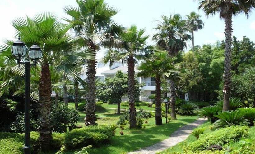 Fotos del hotel Springhill Resort:  25