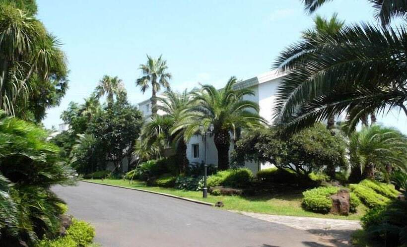 Fotos del hotel Springhill Resort:  17