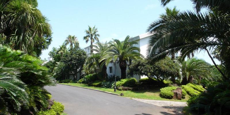 Fotos del hotel Springhill Resort:  11