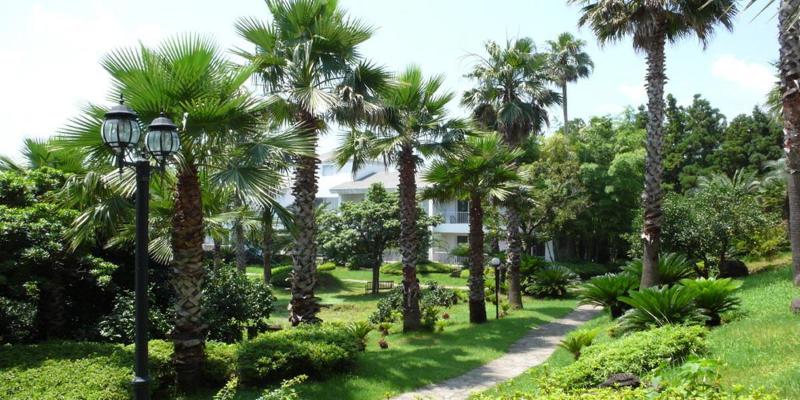 Fotos del hotel Springhill Resort:  24