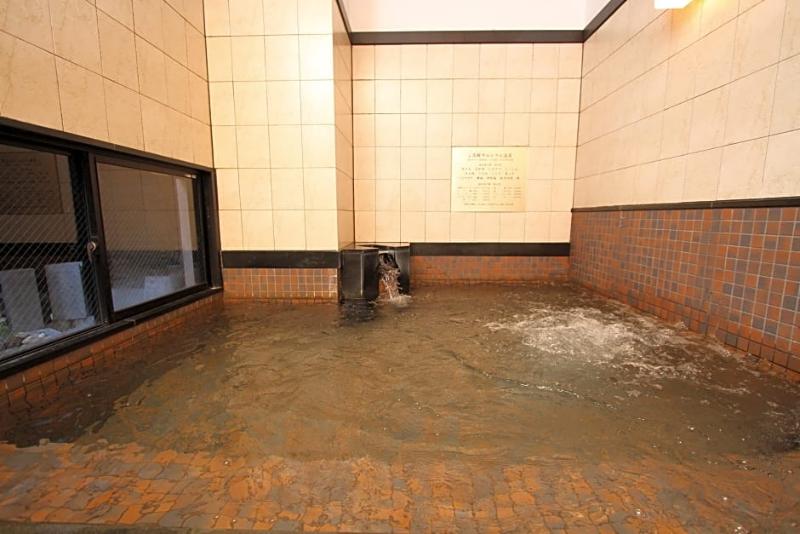 Fotos del hotel Green Rich  Hiroshima:  4