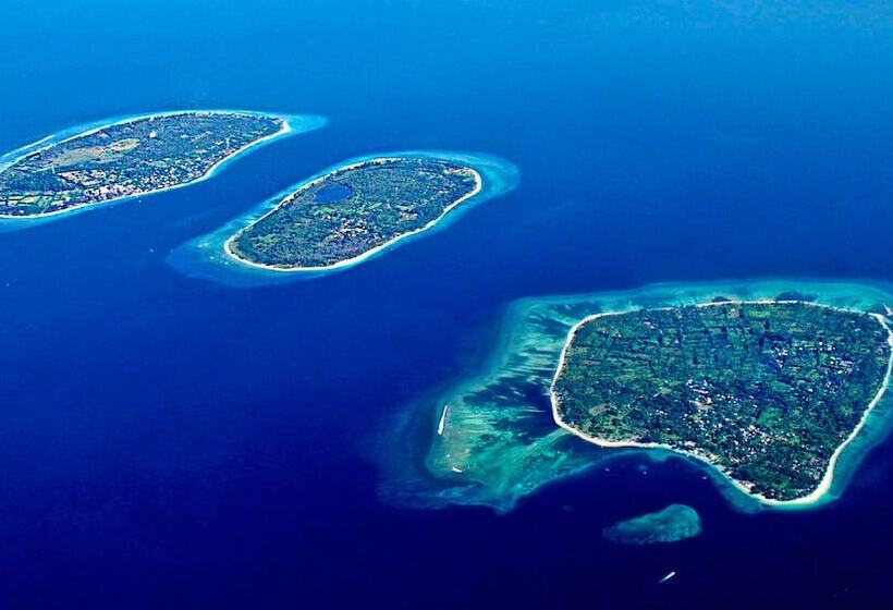 Fotos del hotel Pearl Of Trawangan:  11