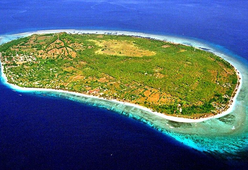 Fotos del hotel Pearl Of Trawangan:  13