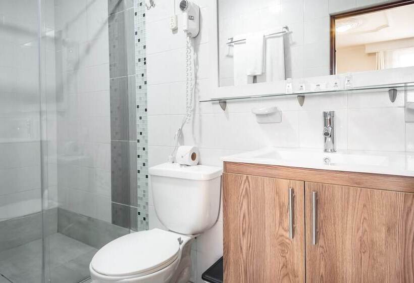 Fotos del hotel Ayenda 1066 El Virrey Centro:  5