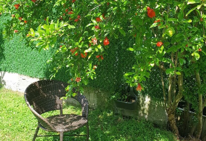 Fotos del hotel Leon:  15