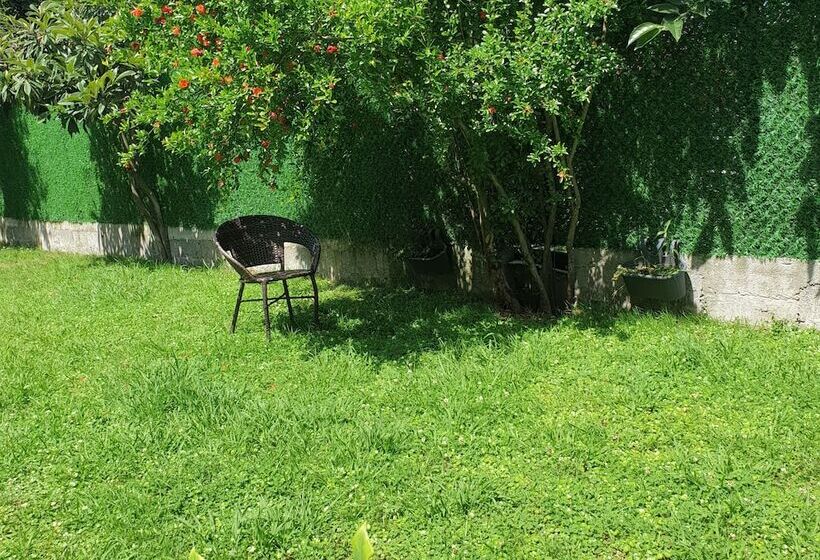 Fotos del hotel Leon:  20