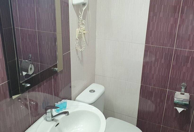 Fotos del hotel Leon:  22