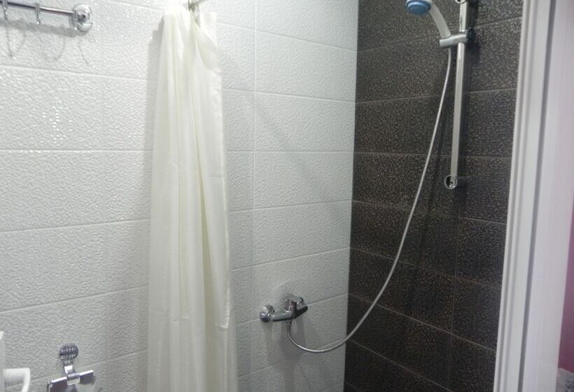 Fotos del hotel Leon:  25