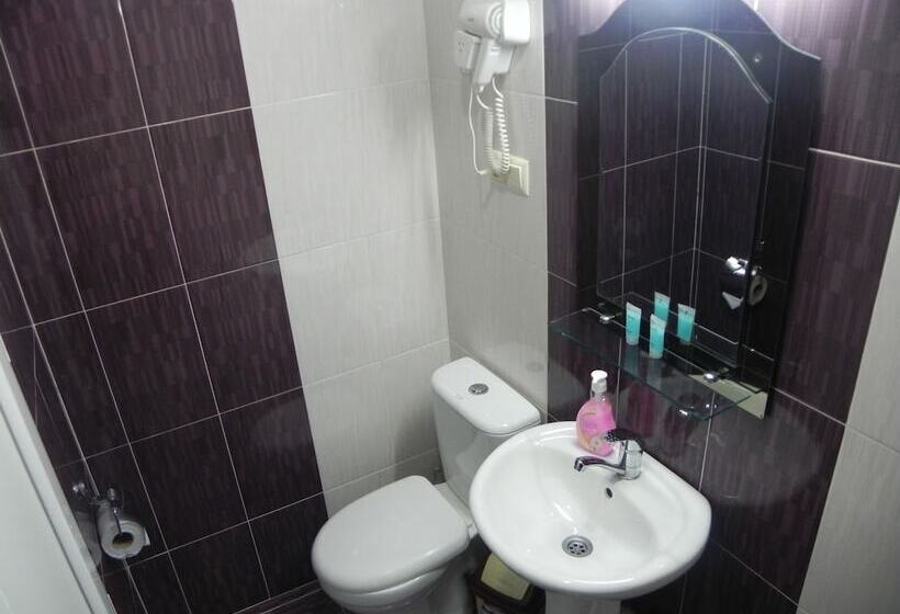 Fotos del hotel Leon:  19