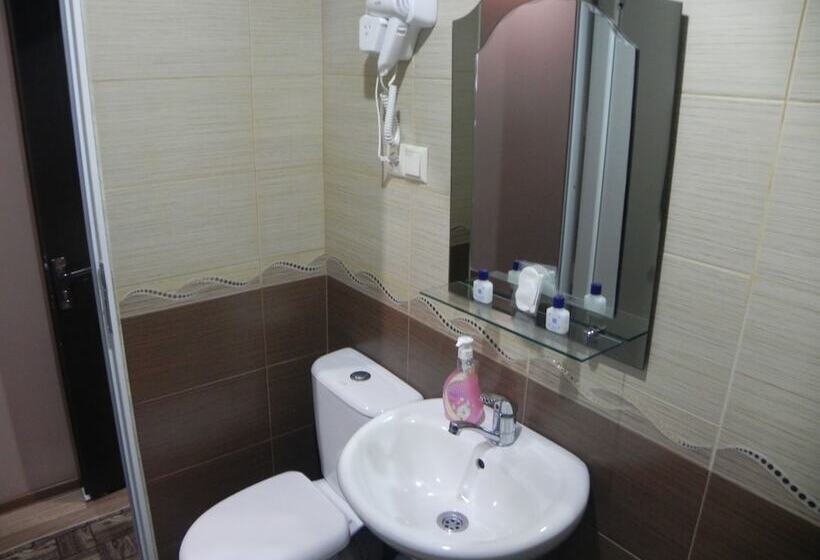 Fotos del hotel Leon:  12