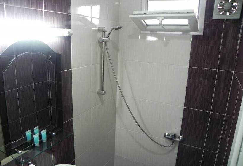 Fotos del hotel Leon:  8