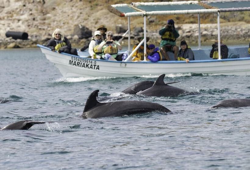 Fotos del hotel Posada Luna Sol:  10