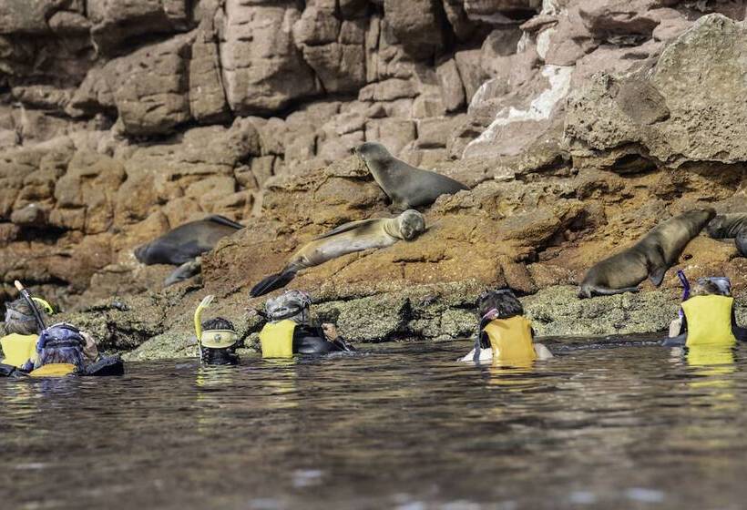 Fotos del hotel Posada Luna Sol:  6