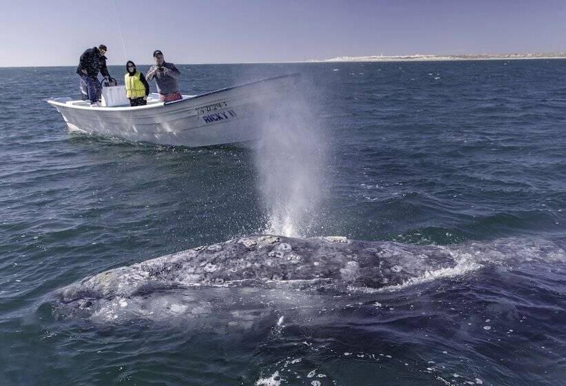 Fotos del hotel Posada Luna Sol:  14