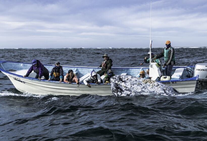 Fotos del hotel Posada Luna Sol:  17