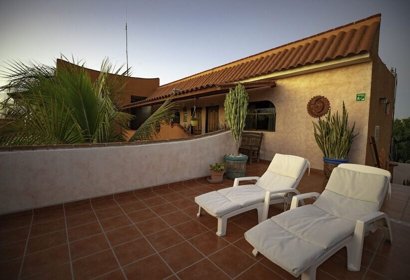 Fotos del hotel Posada Luna Sol:  4