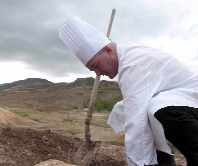 Fotos del hotel Geysir:  7