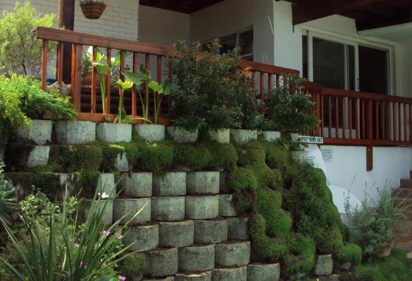 Fotos del hotel Knysna Manor House:  13