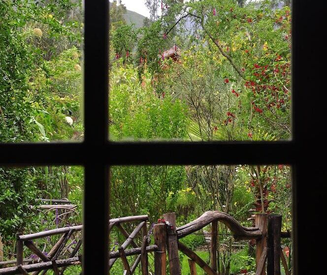 Fotos del hotel Kuychi Rumi:  7