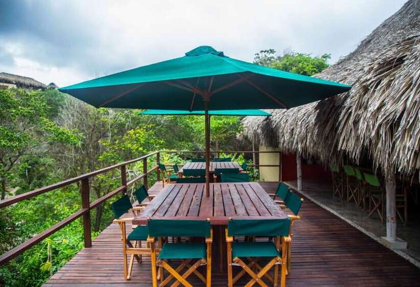 Fotos del hotel Finca Barlovento Maloka & Cabaña:  7