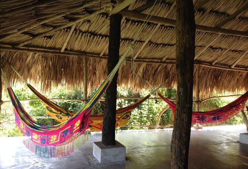 Fotos del hotel Finca Barlovento Maloka & Cabaña:  9