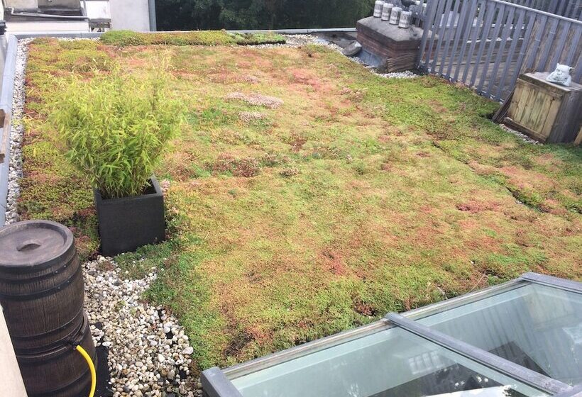 Fotos del hotel Adriaen Van Ostade Luxury B&b:  11