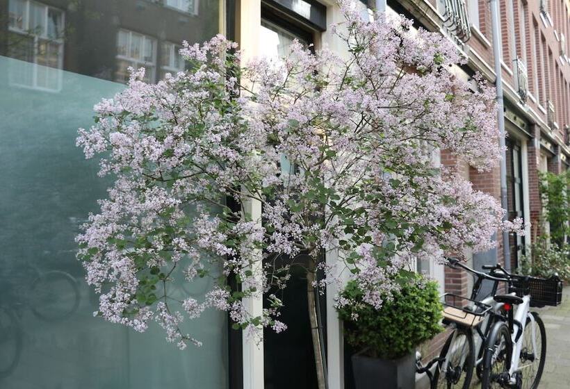 Fotos del hotel Adriaen Van Ostade Luxury B&b:  12