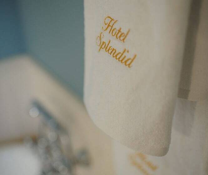 Fotos del hotel Splendid 1900:  8