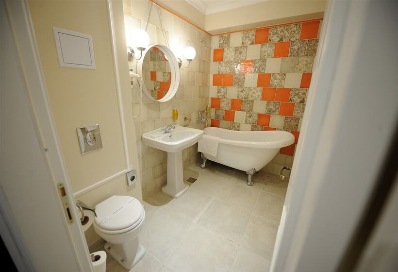 Fotos del hotel Splendid 1900:  15