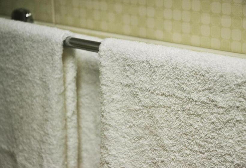 Fotos del hotel Aparthotel Zorilor:  7